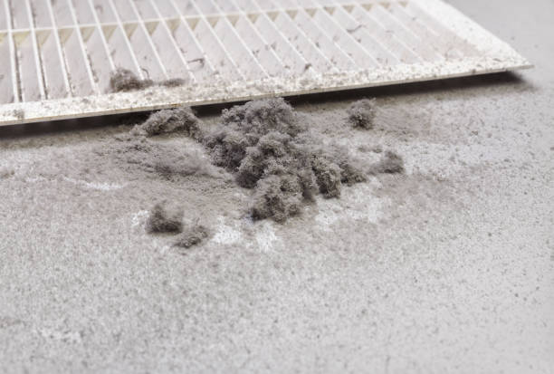 Best Emergency Air Duct Cleaning  in Chevy Chase, MD