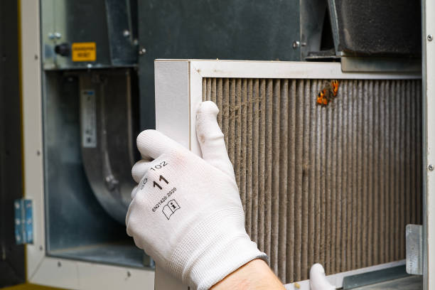 Best Affordable Duct Cleaning Services  in Chevy Chase, MD
